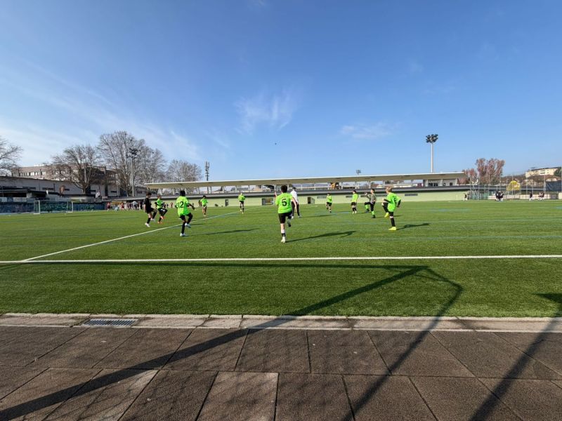 WhatsApp-Image-2026-03-13-at-13.52.16