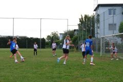 DSCF0782