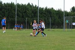 DSCF0785