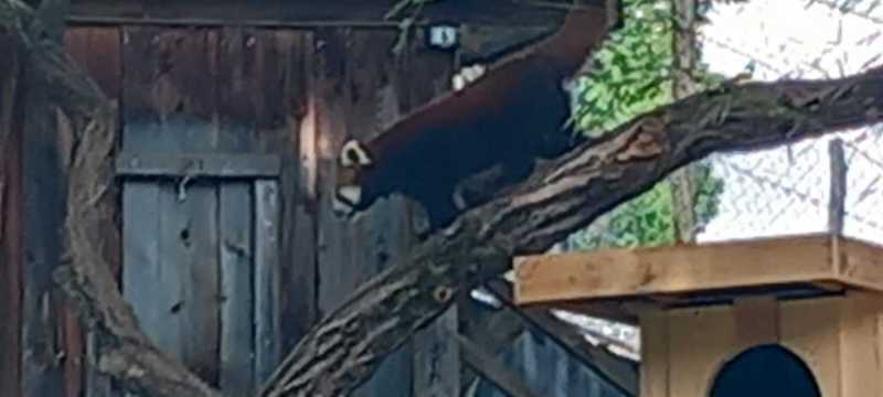 WhatsApp-Image-2025-04-30-at-00.01.31-3