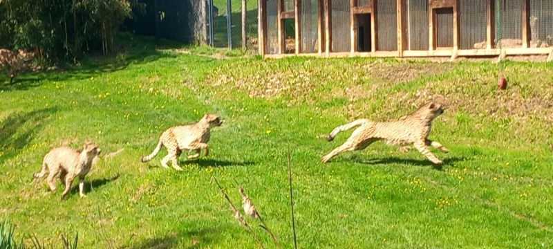 WhatsApp-Image-2025-04-30-at-00.01.32-1