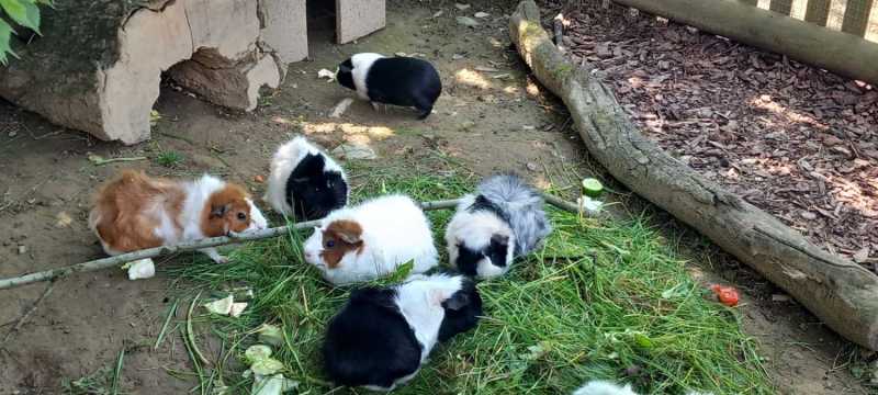 WhatsApp-Image-2025-04-30-at-00.01.32-2