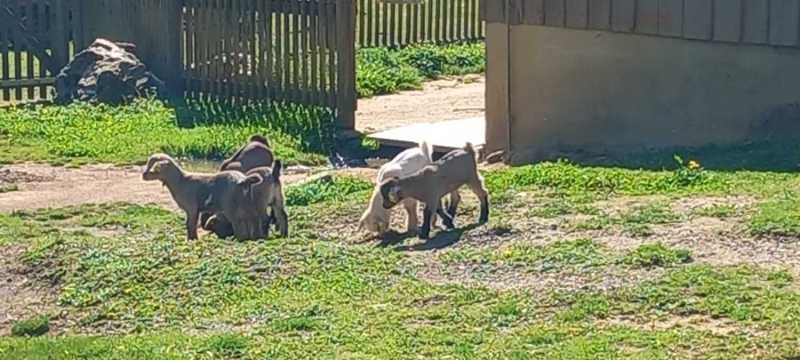 WhatsApp-Image-2025-04-30-at-00.01.32-3