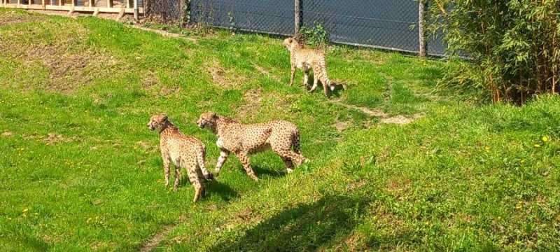 WhatsApp-Image-2025-04-30-at-00.01.32