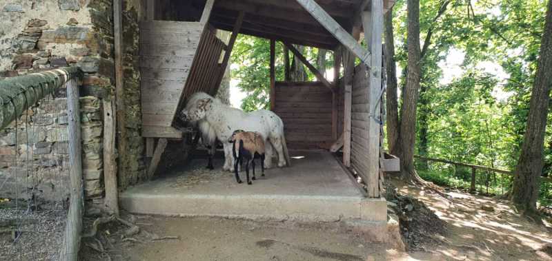 WhatsApp-Image-2025-04-30-at-14.25.10-2