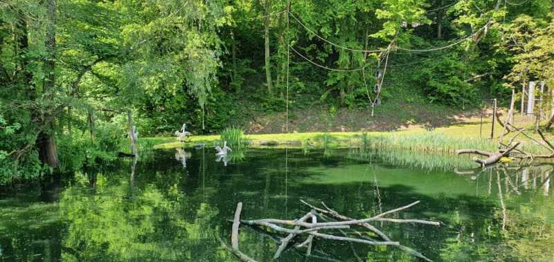 WhatsApp-Image-2025-04-30-at-14.25.10-3