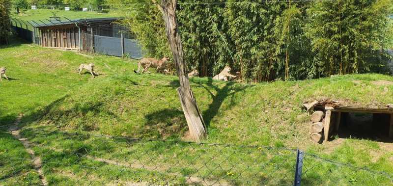 WhatsApp-Image-2025-04-30-at-14.25.11-1