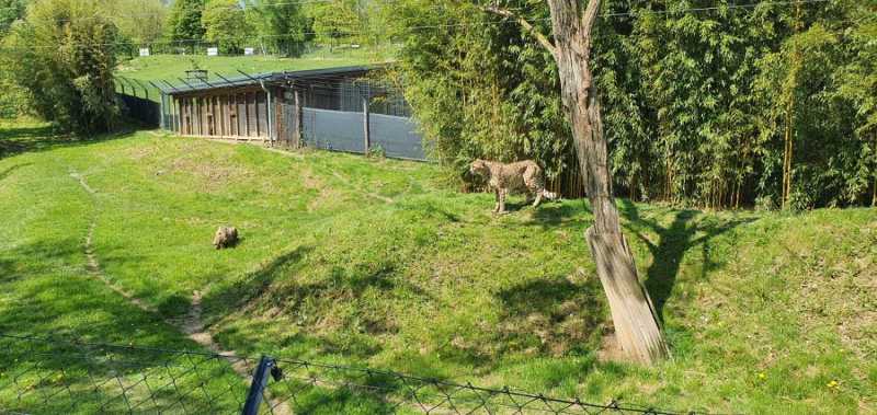 WhatsApp-Image-2025-04-30-at-14.25.11-3