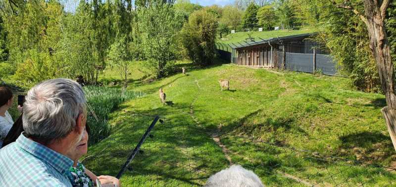 WhatsApp-Image-2025-04-30-at-14.25.11