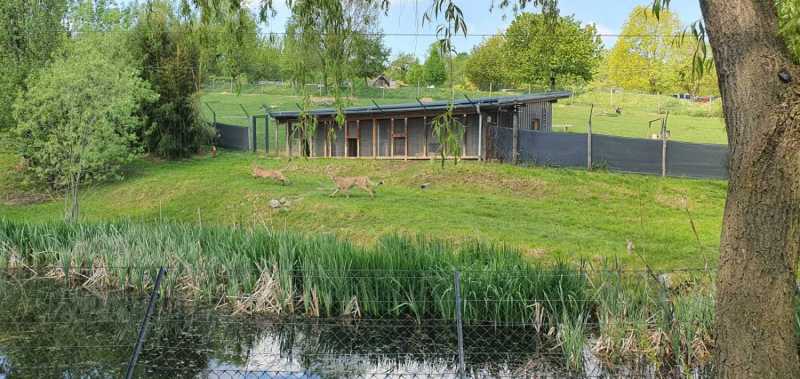 WhatsApp-Image-2025-04-30-at-14.25.12-2