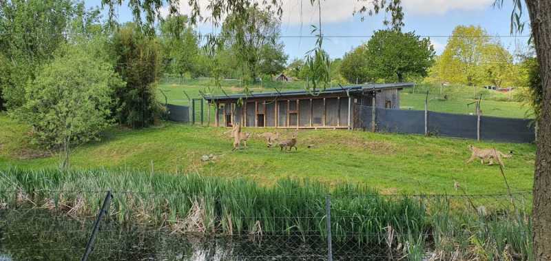 WhatsApp-Image-2025-04-30-at-14.25.12-3