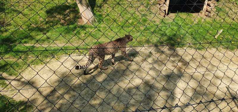 WhatsApp-Image-2025-04-30-at-14.25.12