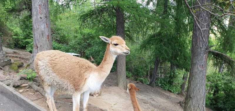 WhatsApp-Image-2025-04-30-at-14.25.13-1