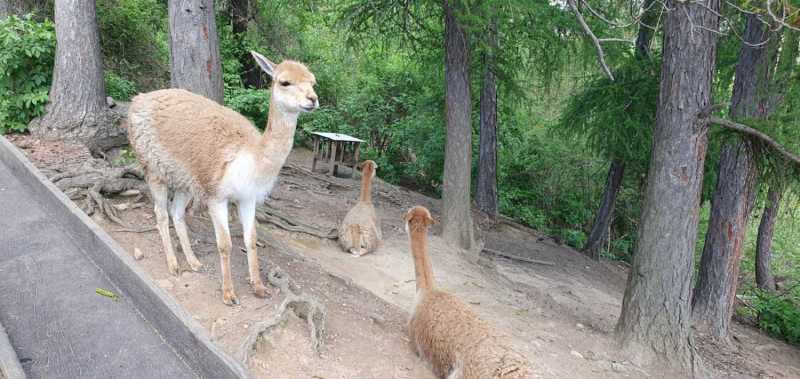 WhatsApp-Image-2025-04-30-at-14.25.13-3