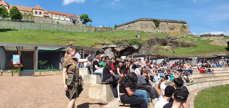 WhatsApp-Image-2025-04-30-at-14.25.18-2