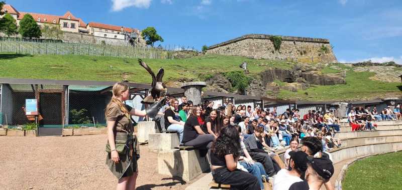 WhatsApp-Image-2025-04-30-at-14.25.18-3