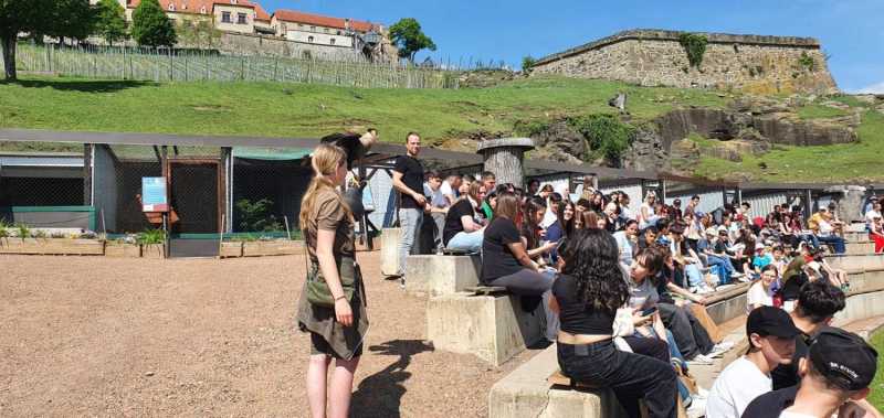 WhatsApp-Image-2025-04-30-at-14.25.19-1