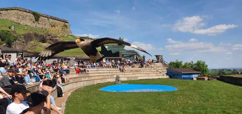 WhatsApp-Image-2025-04-30-at-14.25.19-2