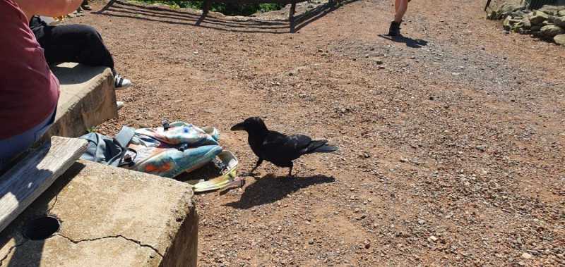 WhatsApp-Image-2025-04-30-at-14.25.19-4