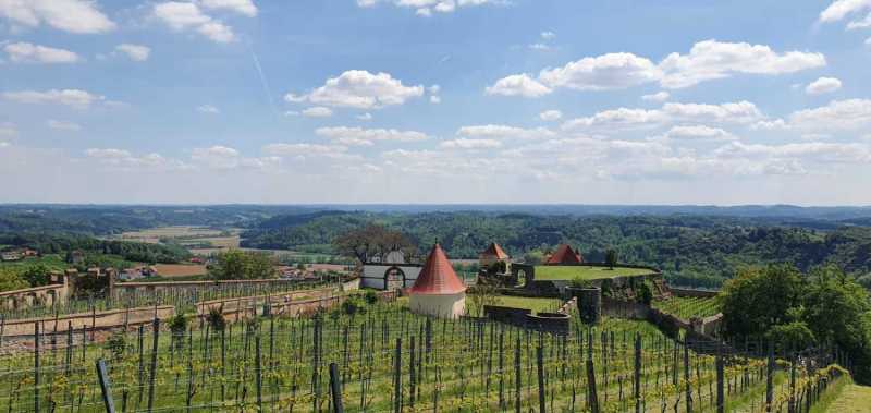 WhatsApp-Image-2025-04-30-at-14.25.20-11