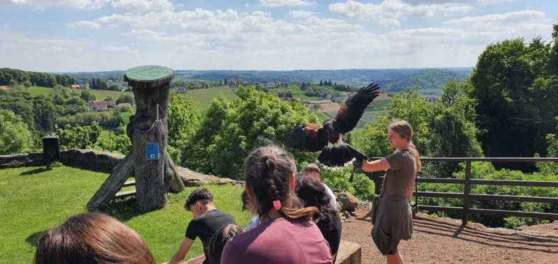 WhatsApp-Image-2025-04-30-at-14.25.20-2