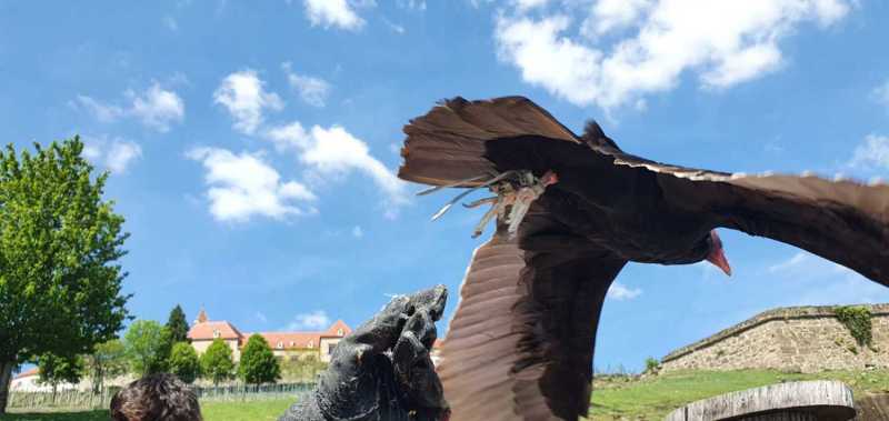 WhatsApp-Image-2025-04-30-at-14.25.20-5