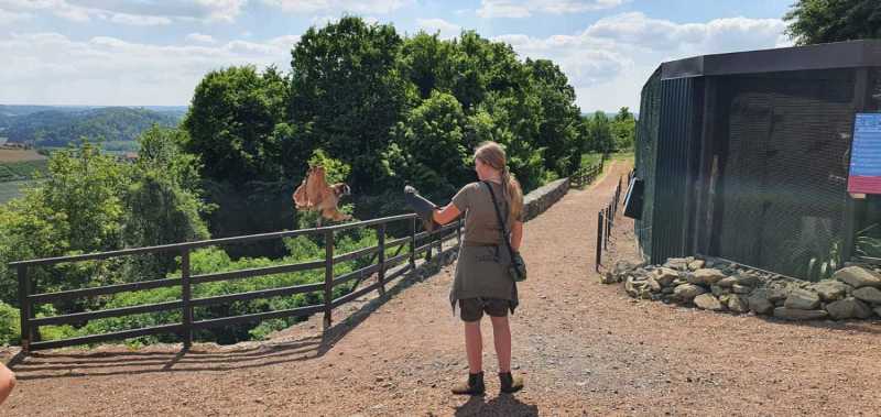 WhatsApp-Image-2025-04-30-at-14.25.20-9