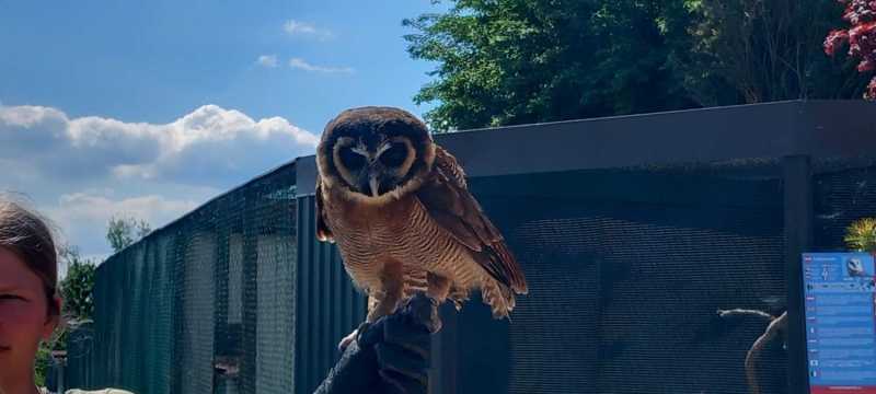 WhatsApp-Image-2025-04-30-at-15.42.16-1