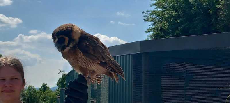 WhatsApp-Image-2025-04-30-at-15.42.16-2