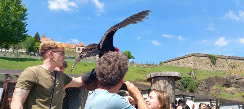 WhatsApp-Image-2025-04-30-at-15.42.18