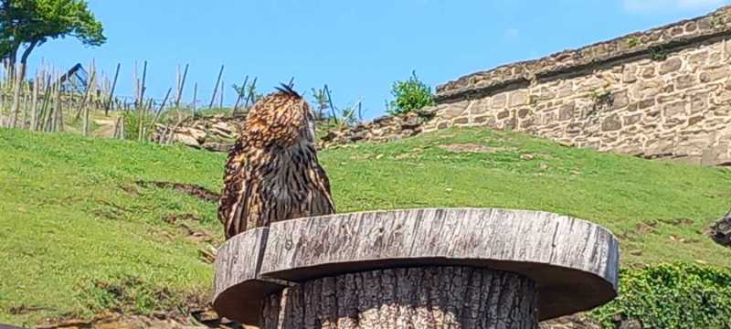 WhatsApp-Image-2025-04-30-at-15.42.19-1