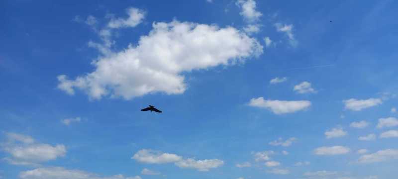 WhatsApp-Image-2025-04-30-at-15.42.20-1