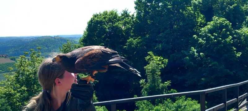 WhatsApp-Image-2025-04-30-at-15.42.38-1