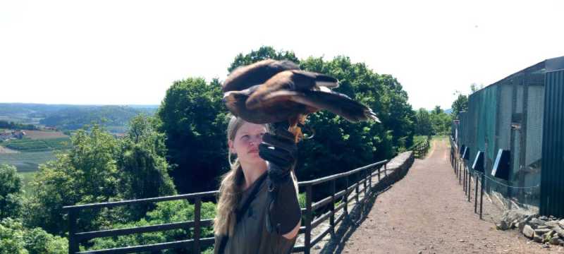 WhatsApp-Image-2025-04-30-at-15.42.38-2