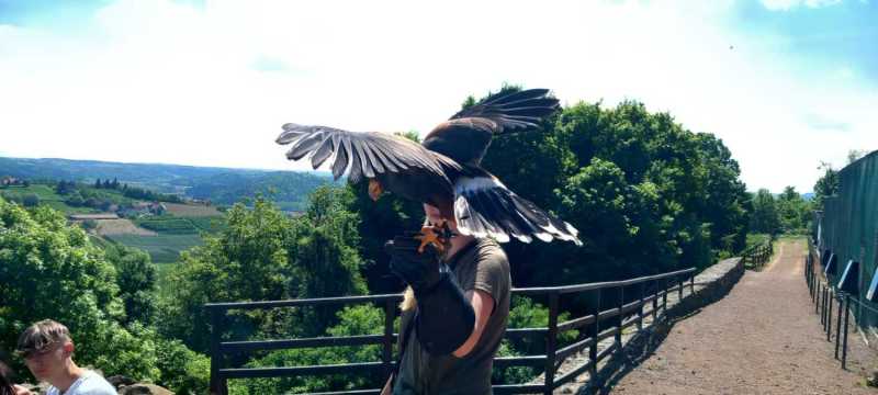 WhatsApp-Image-2025-04-30-at-15.42.39