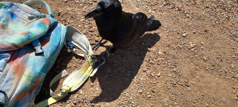 WhatsApp-Image-2025-04-30-at-15.42.40-1