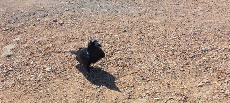 WhatsApp-Image-2025-04-30-at-15.42.40-2