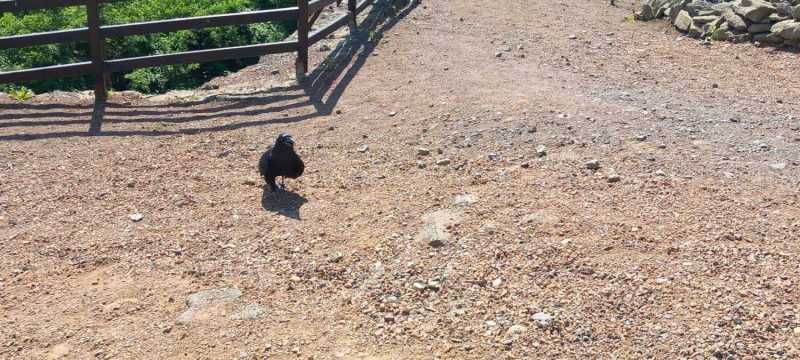 WhatsApp-Image-2025-04-30-at-15.42.40-3