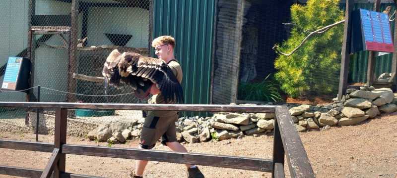 WhatsApp-Image-2025-04-30-at-15.42.41-1