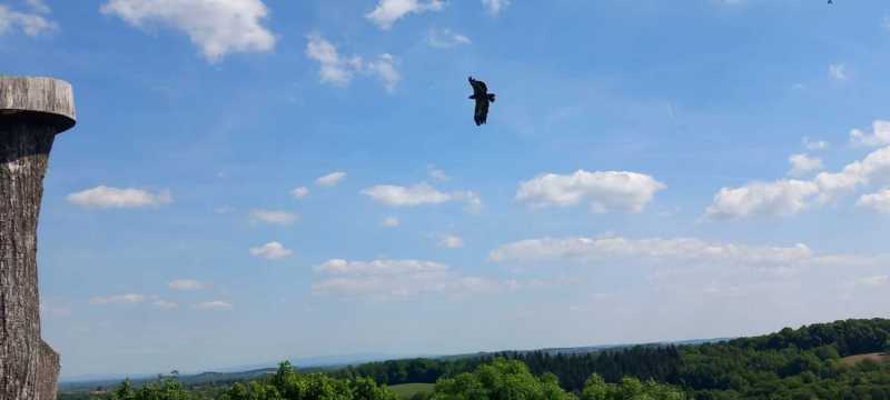 WhatsApp-Image-2025-04-30-at-15.42.41-3