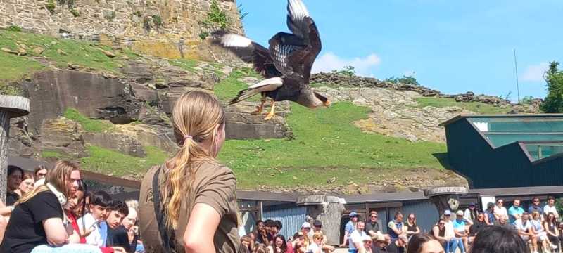 WhatsApp-Image-2025-04-30-at-15.42.42-1