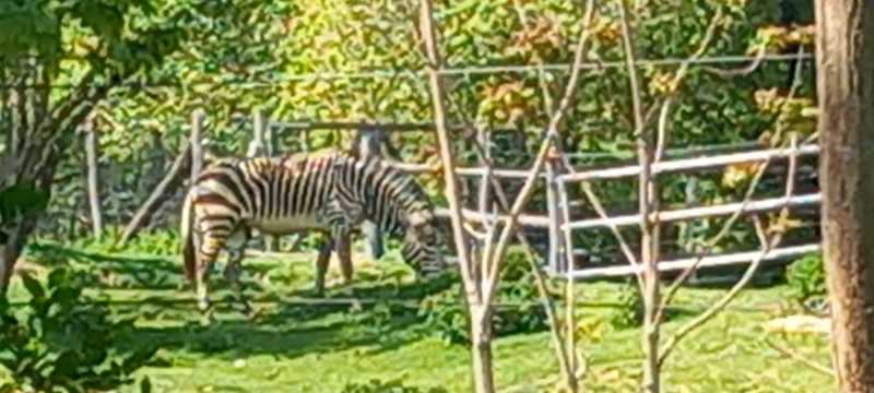 WhatsApp-Image-2025-04-30-at-15.44.16-1