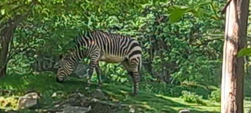 WhatsApp-Image-2025-04-30-at-15.44.16-2