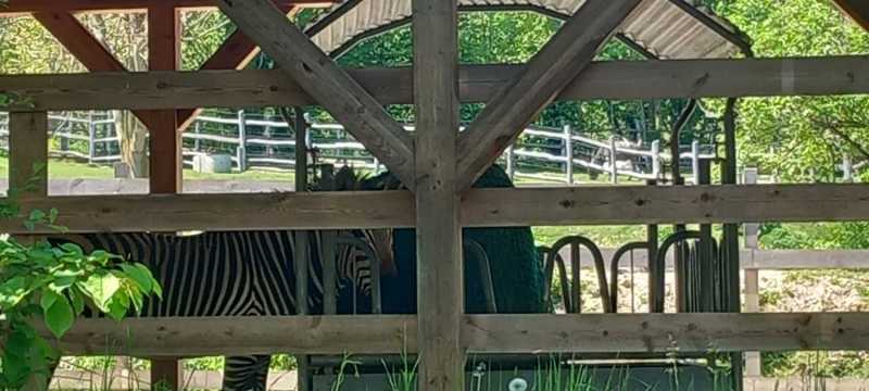 WhatsApp-Image-2025-04-30-at-15.44.16