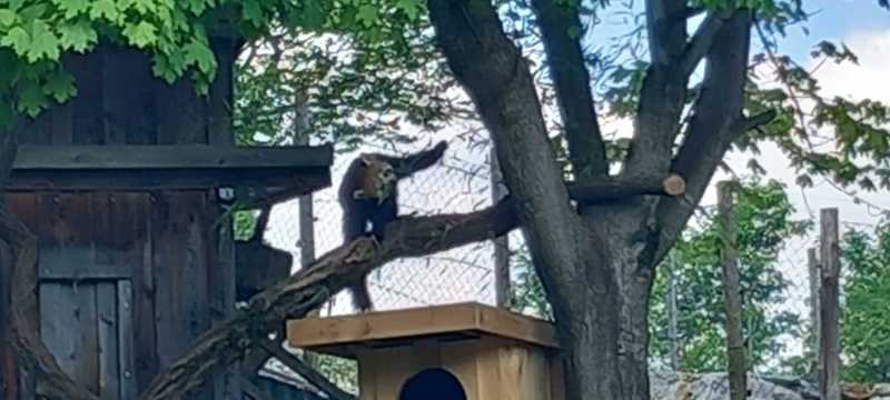 WhatsApp-Image-2025-04-30-at-15.44.18-3