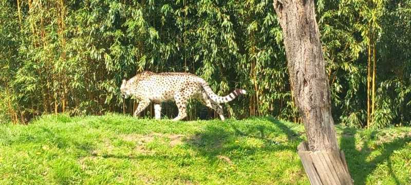 WhatsApp-Image-2025-04-30-at-15.44.19-2