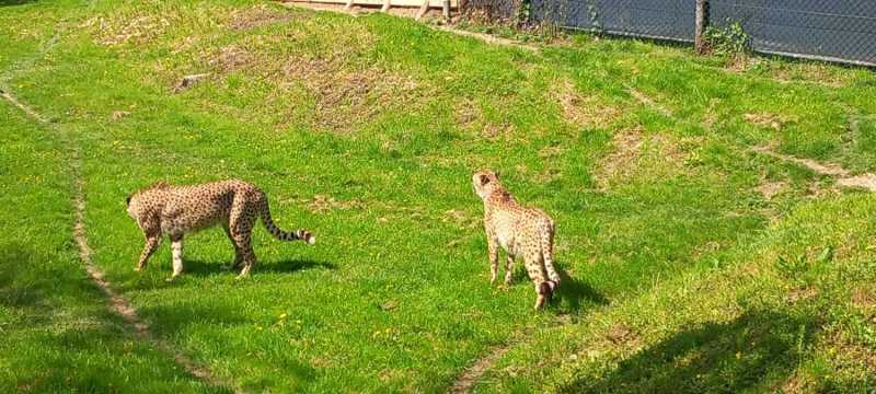 WhatsApp-Image-2025-04-30-at-15.44.19-3