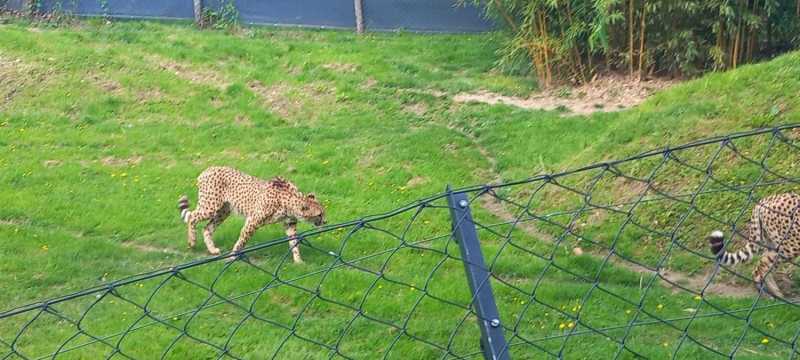 WhatsApp-Image-2025-04-30-at-15.44.19-4