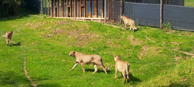 WhatsApp-Image-2025-04-30-at-15.44.19