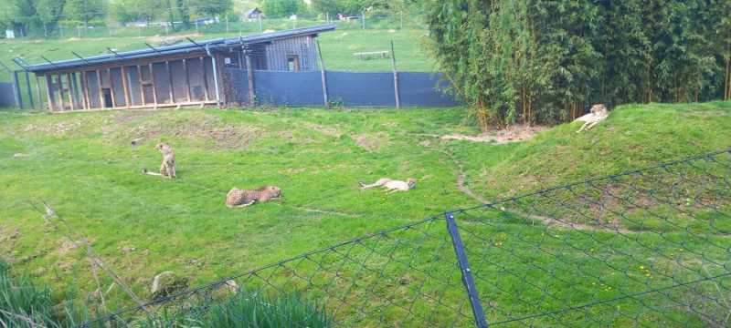 WhatsApp-Image-2025-04-30-at-15.44.20-3